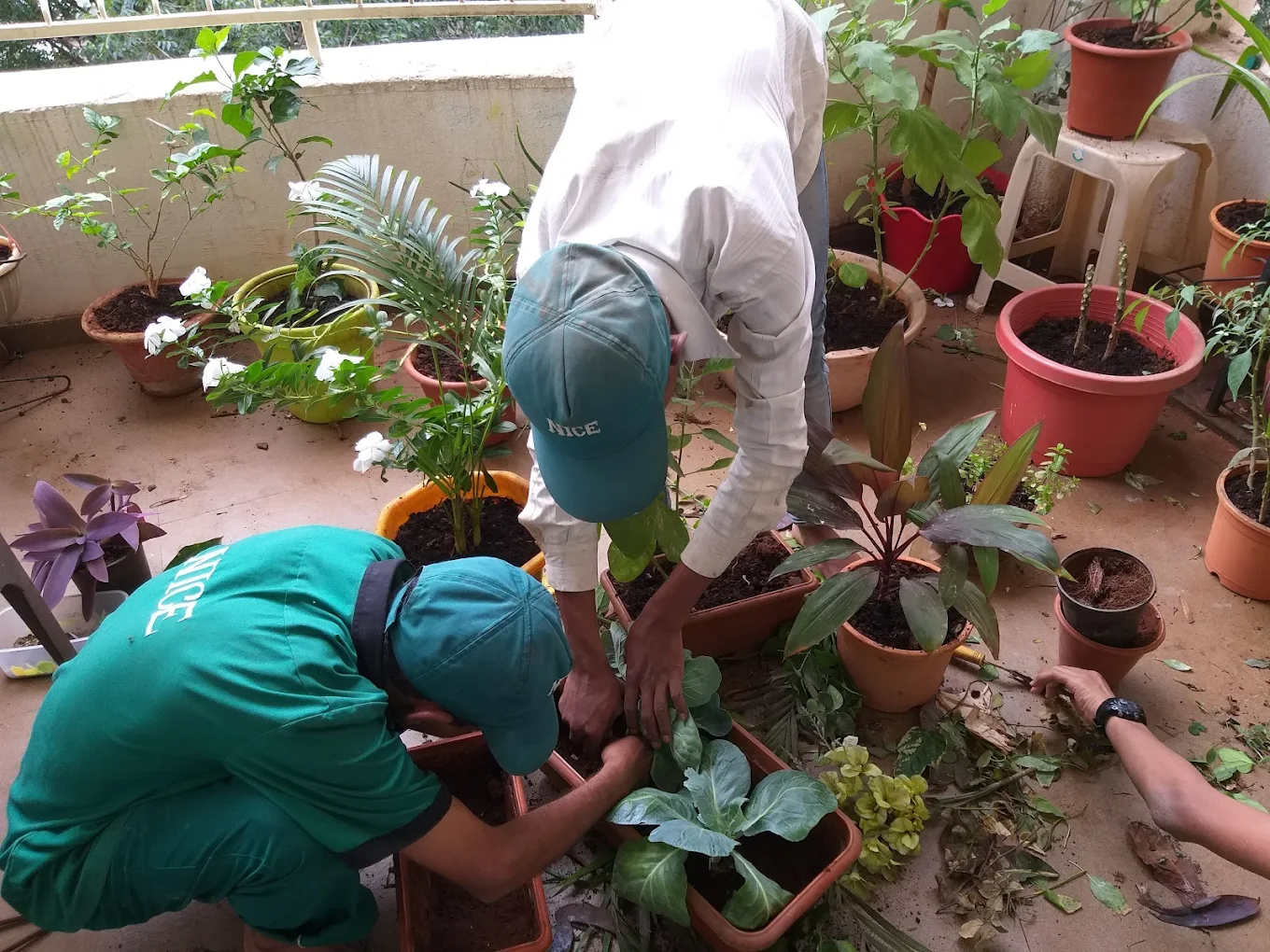 Nice Gardening team planting and caring for plants in Pune